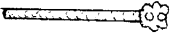 Baculus Baculus