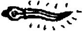 Bich'Hwa Bich'Hwa