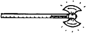 Bipennis Bipennis