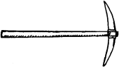 Bisacuta Bisacuta