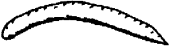 Boomerang Boomerang