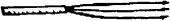 Flagellum Flagellum