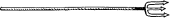 Fuscina Fuscina