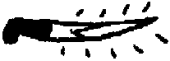 Jambiya Jambiya