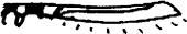 Mandau Mandau