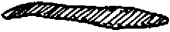 Purijimala Purijimala