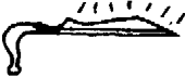 Rentjang Rentjang