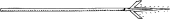 Spetum Spetum