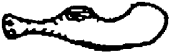 Wahaika Wahaika