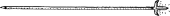 Yari Yari