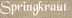 Springkraut