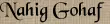 Nahig Gohaf