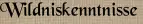 Wildniskenntnisse
