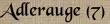 Adlerauge (7)