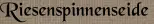 Riesenspinnenseide