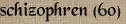 schizophren (60)