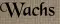 Wachs