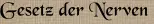 Gesetz der Nerven
