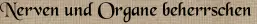 Nerven und Organe beherrschen