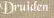 Druiden