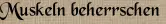 Muskeln beherrschen