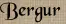 Bergur